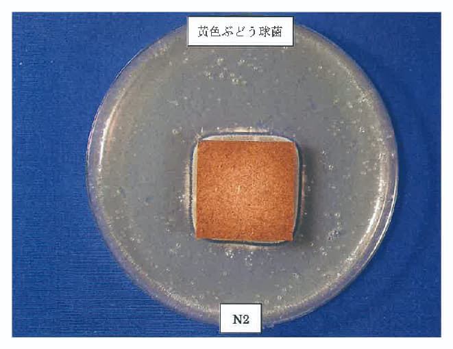 抗菌・除菌作用②