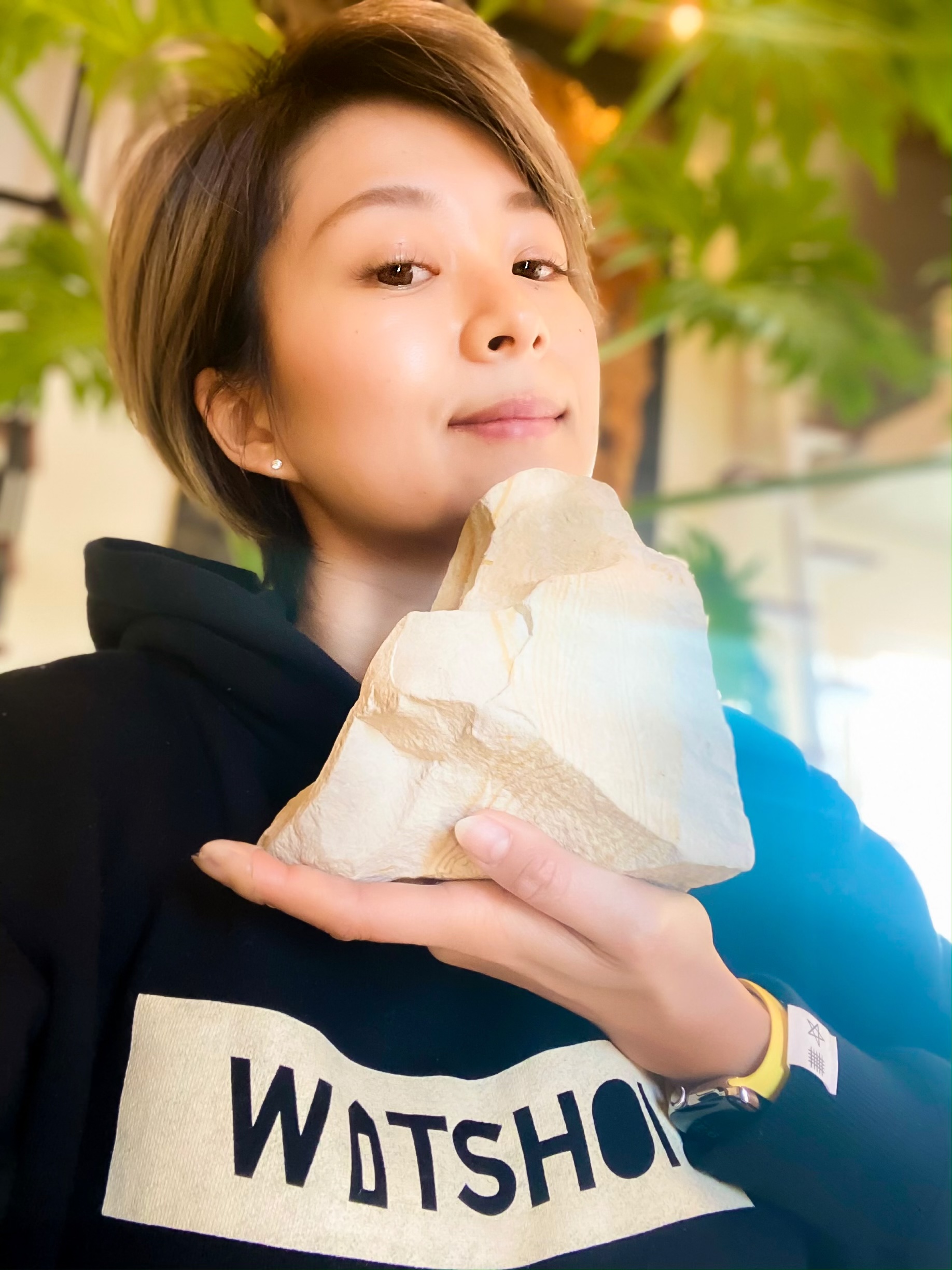 珪藻土